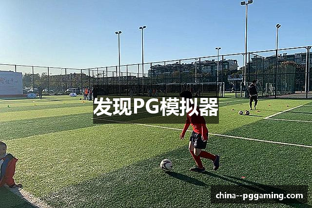 发现PG模拟器